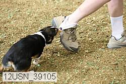 12usn_39105 proof