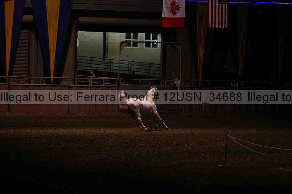 Proof 12usn_34688
