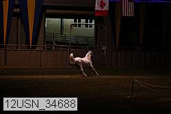 12usn_34688 proof