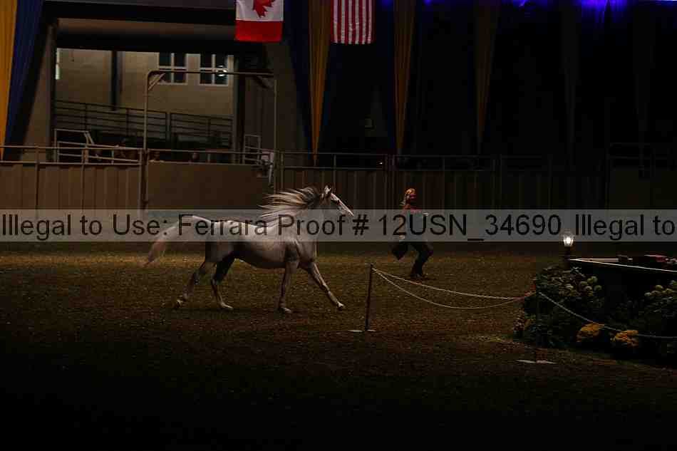 Proof 12usn_34690