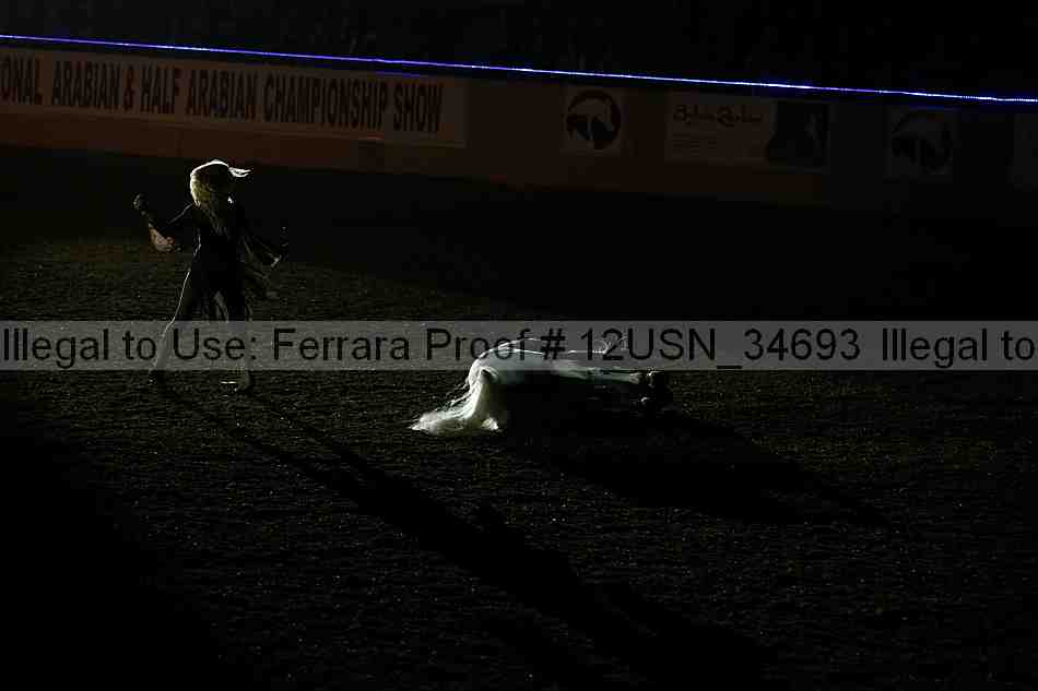 Proof 12usn_34693