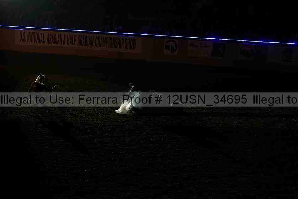 Proof 12usn_34695