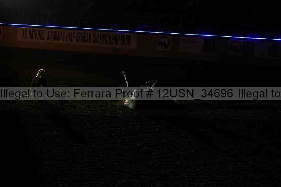 Proof 12usn_34696