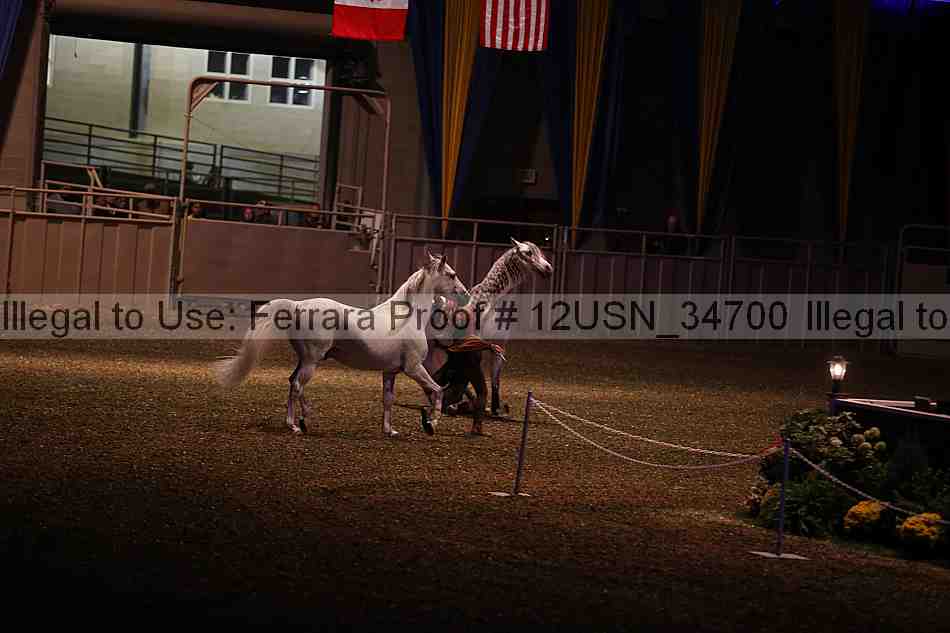 Proof 12usn_34700