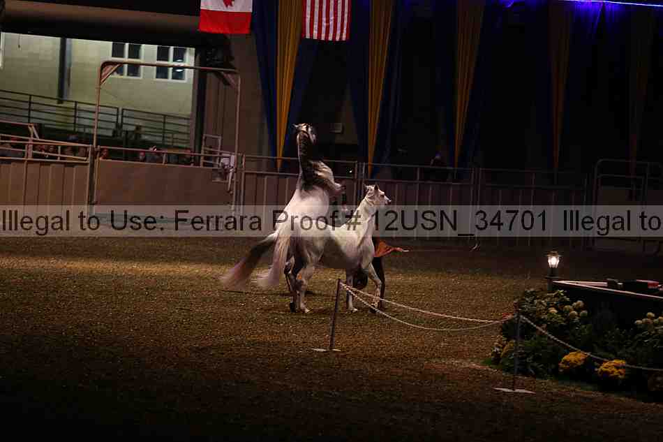 Proof 12usn_34701
