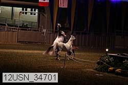 12usn_34701 proof