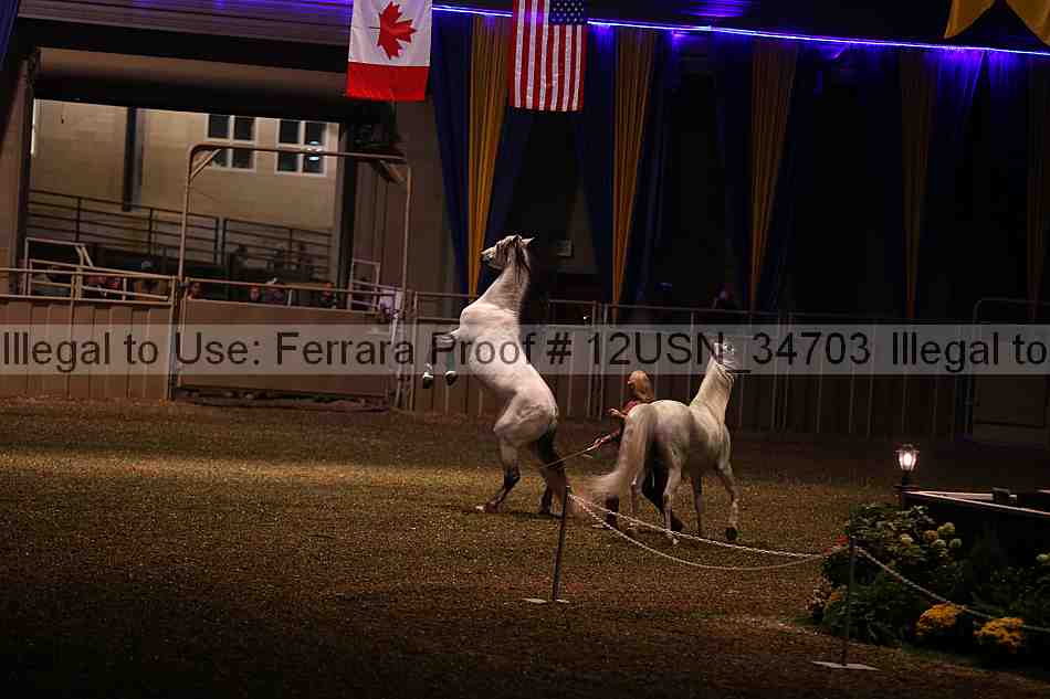 Proof 12usn_34703