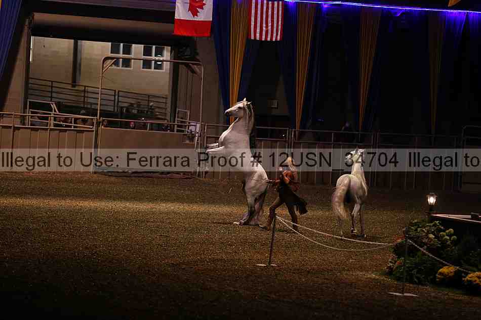 Proof 12usn_34704