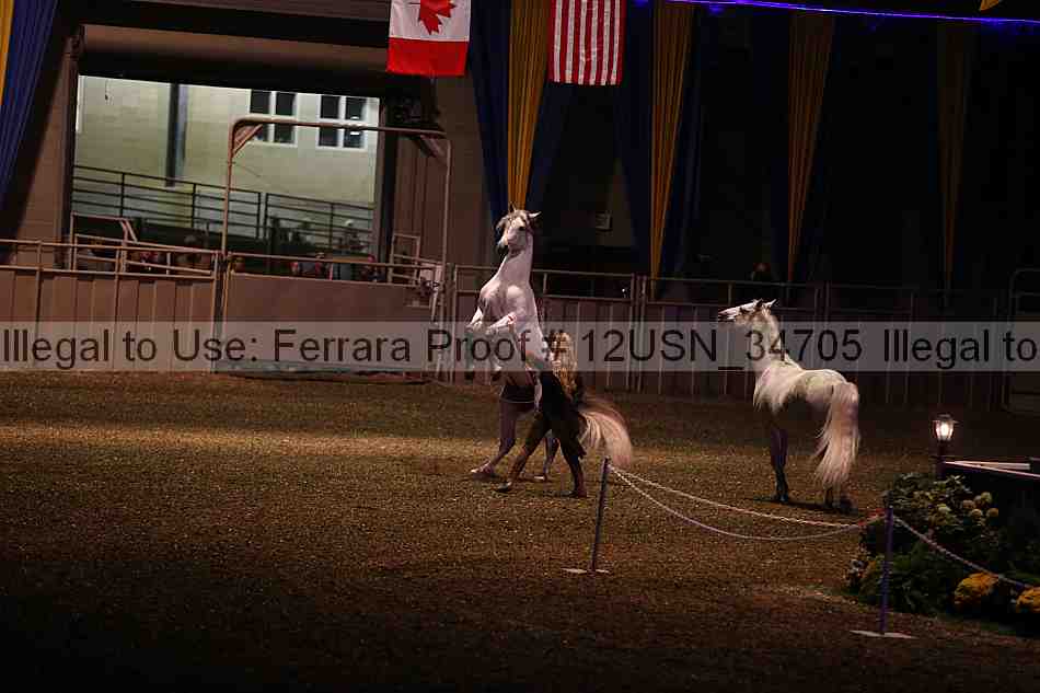 Proof 12usn_34705
