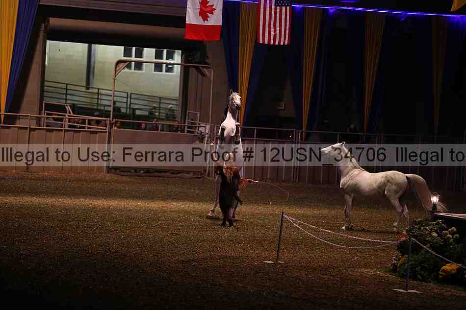 Proof 12usn_34706
