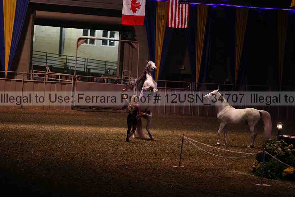 Proof 12usn_34707