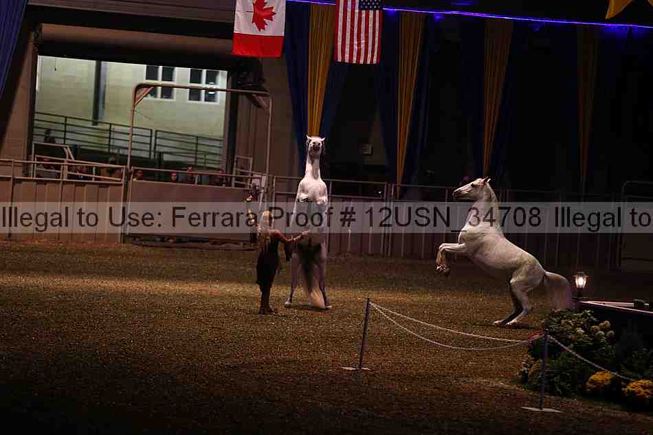 Proof 12usn_34708