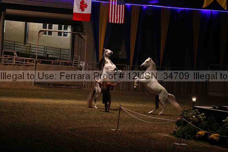 Proof 12usn_34709