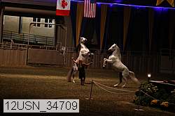 12usn_34709 proof