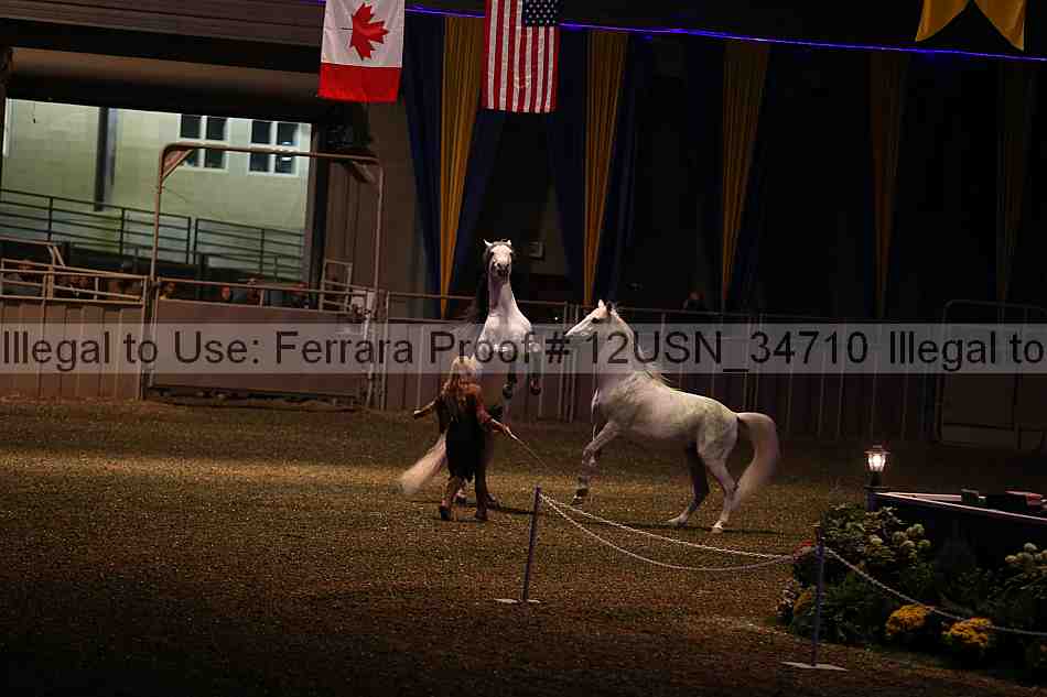 Proof 12usn_34710