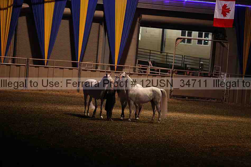 Proof 12usn_34711