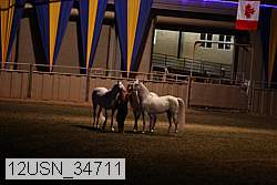 12usn_34711 proof