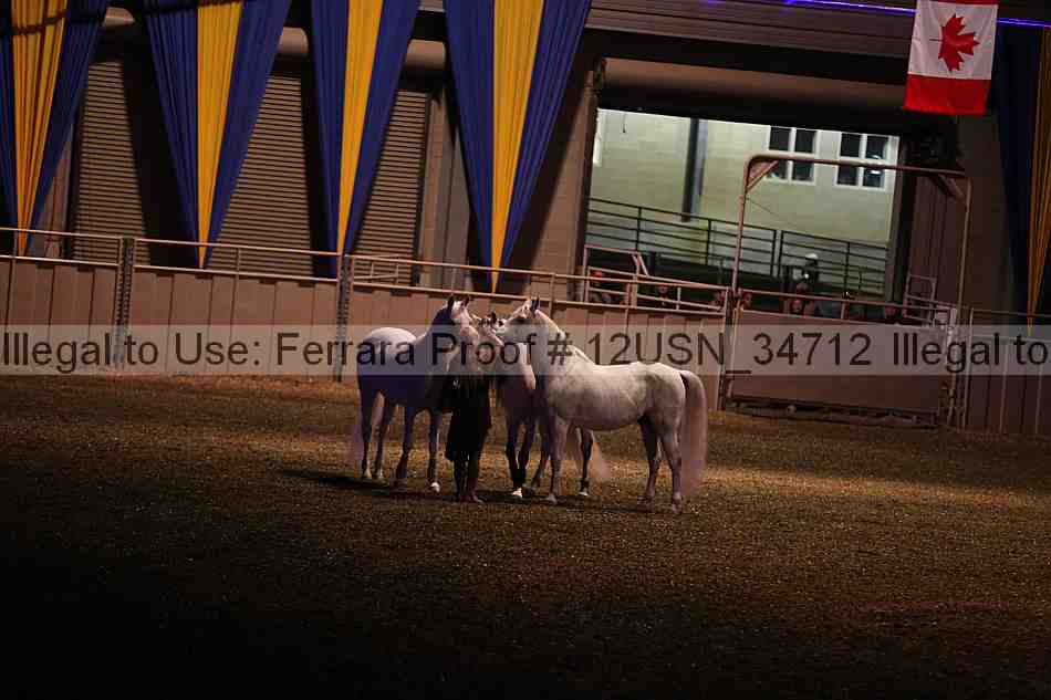 Proof 12usn_34712