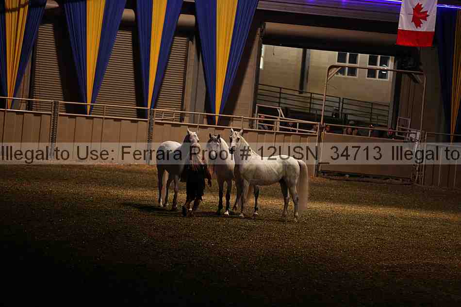 Proof 12usn_34713