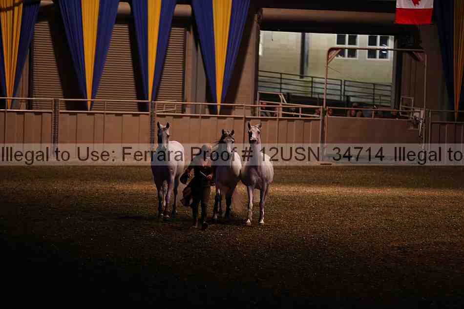 Proof 12usn_34714