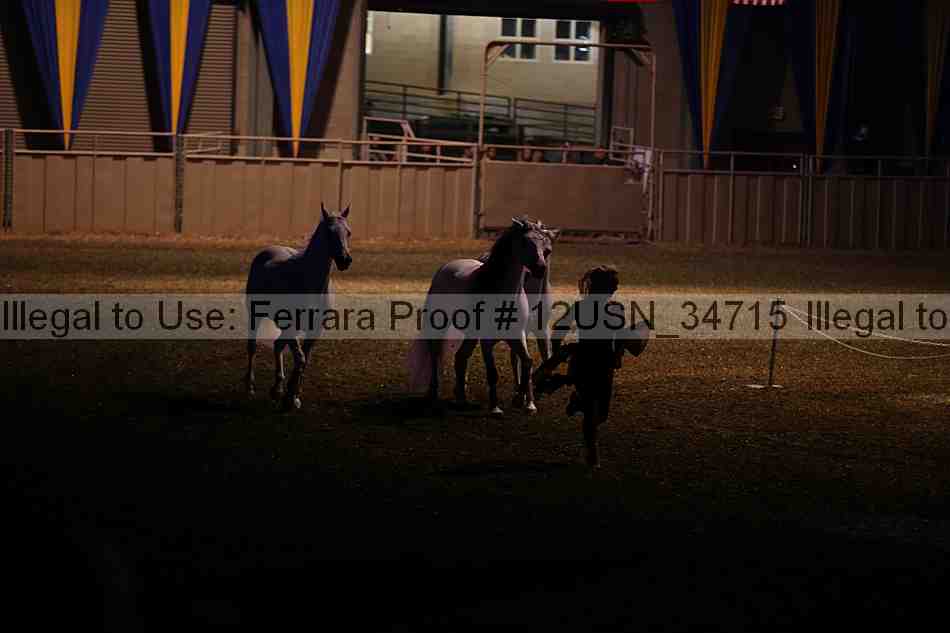 Proof 12usn_34715