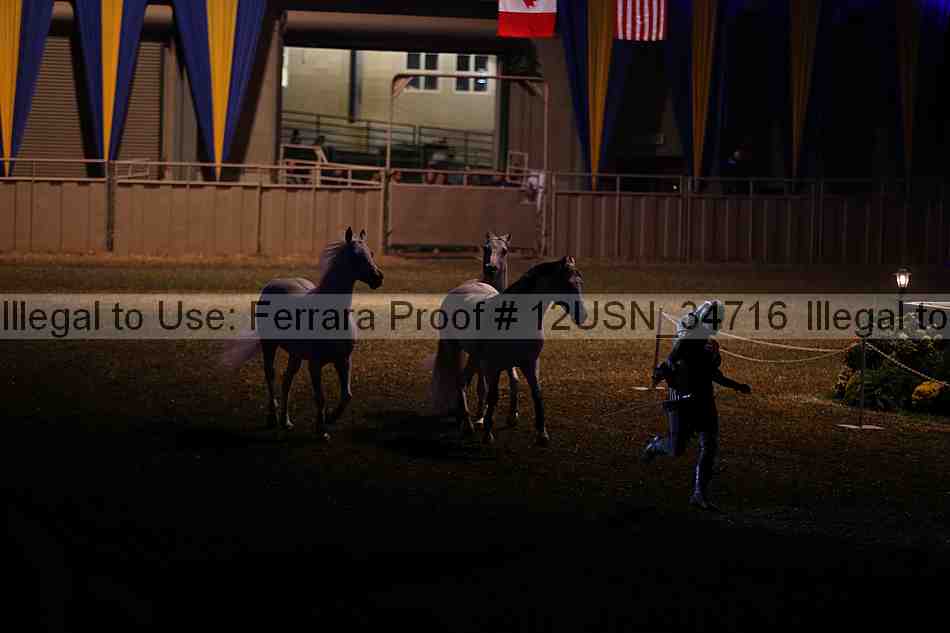 Proof 12usn_34716