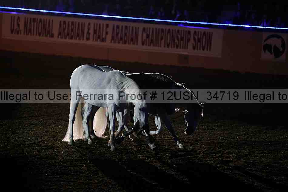 Proof 12usn_34719