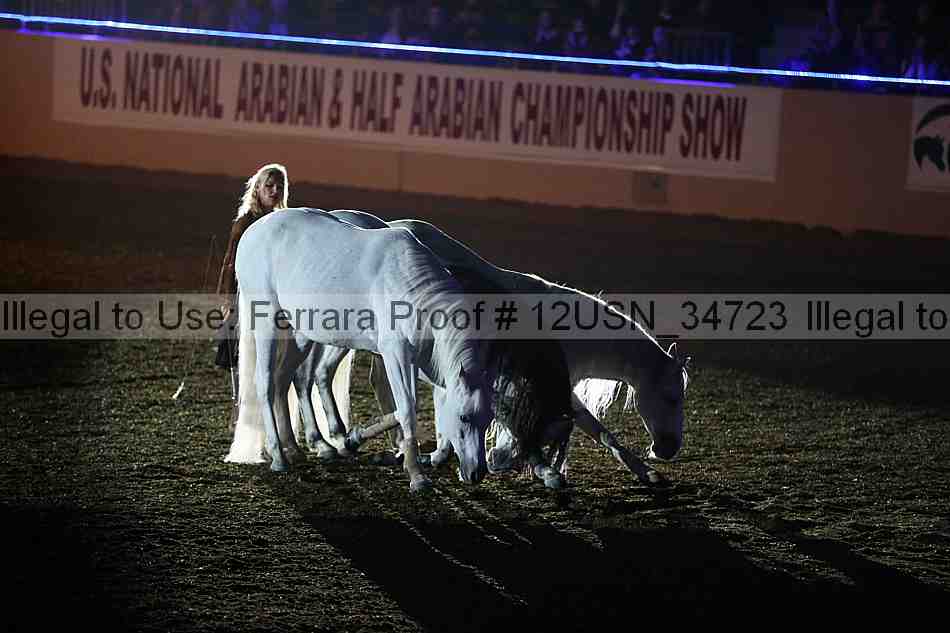 Proof 12usn_34723