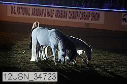 12usn_34723 proof