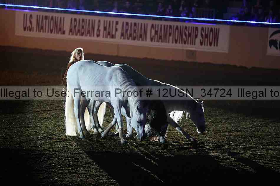 Proof 12usn_34724