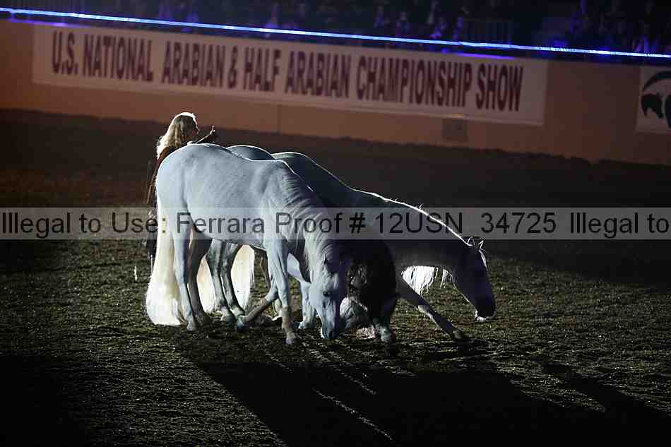 Proof 12usn_34725