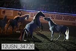 12usn_34726 proof