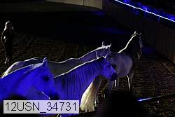 12usn_34731 proof