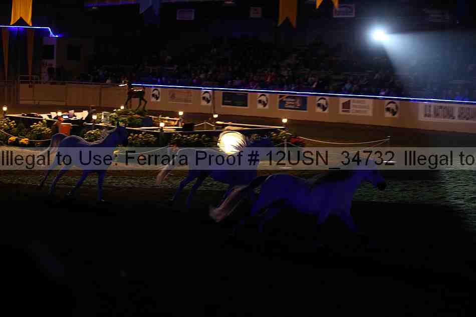 Proof 12usn_34732