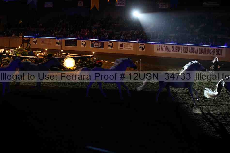 Proof 12usn_34733