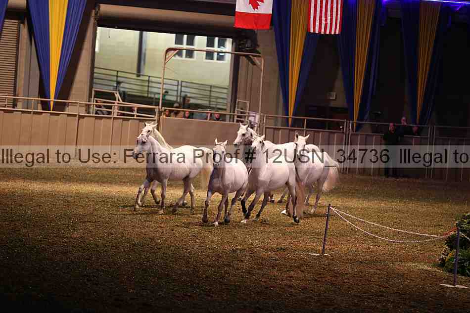 Proof 12usn_34736