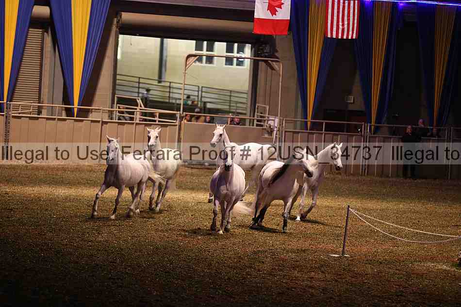 Proof 12usn_34737