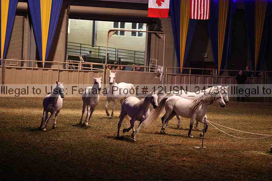 Proof 12usn_34738