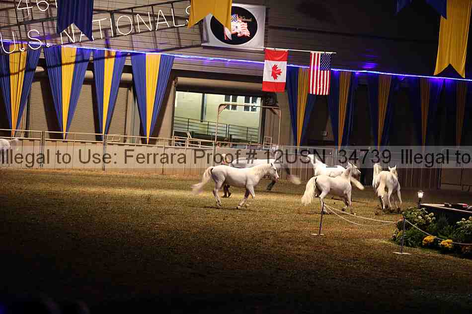 Proof 12usn_34739