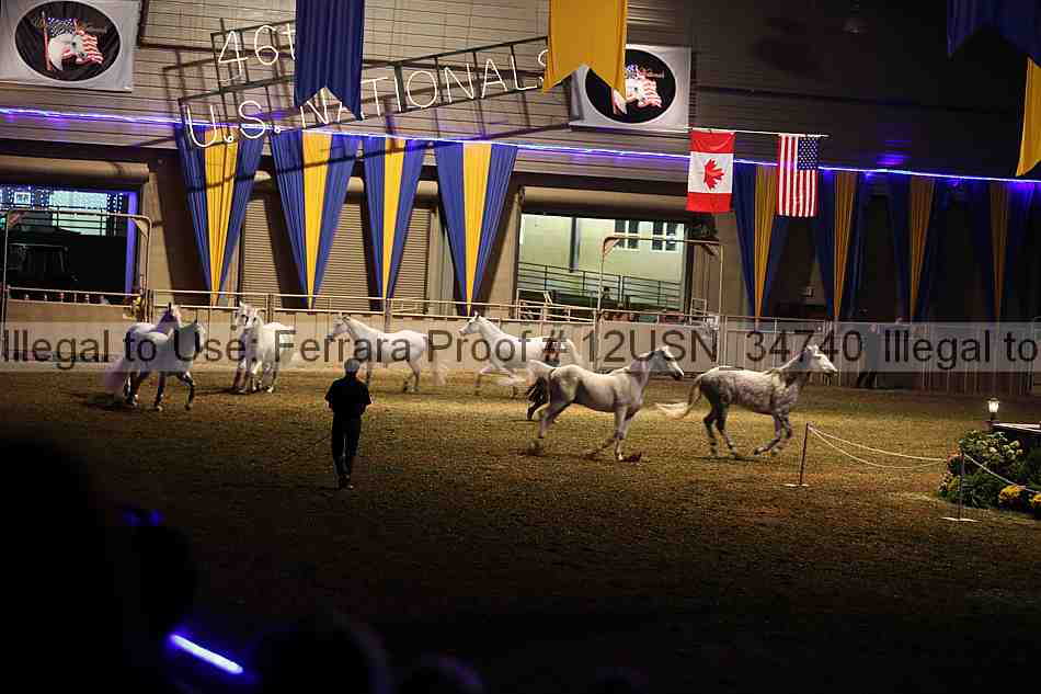 Proof 12usn_34740