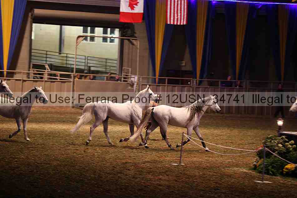 Proof 12usn_34741