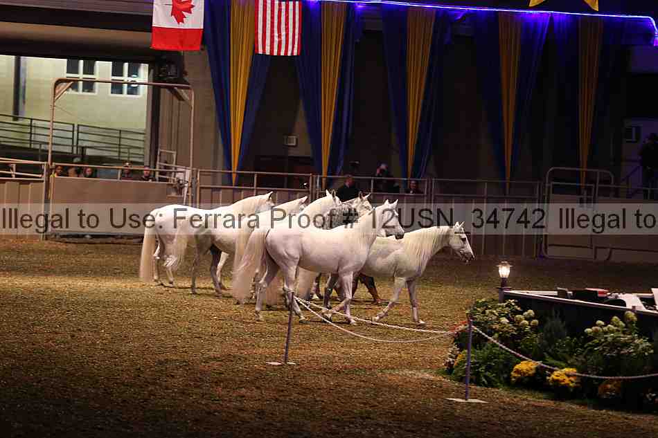 Proof 12usn_34742