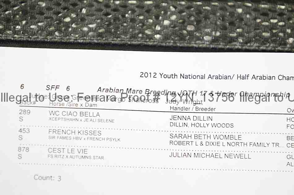 Proof 12yn_13756