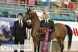 12yn_13801 proof