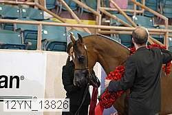 12yn_13826 proof