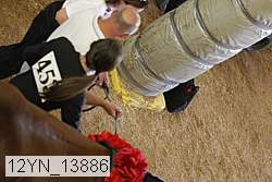 12yn_13886 proof