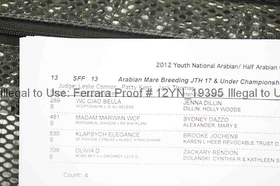Proof 12yn_19395