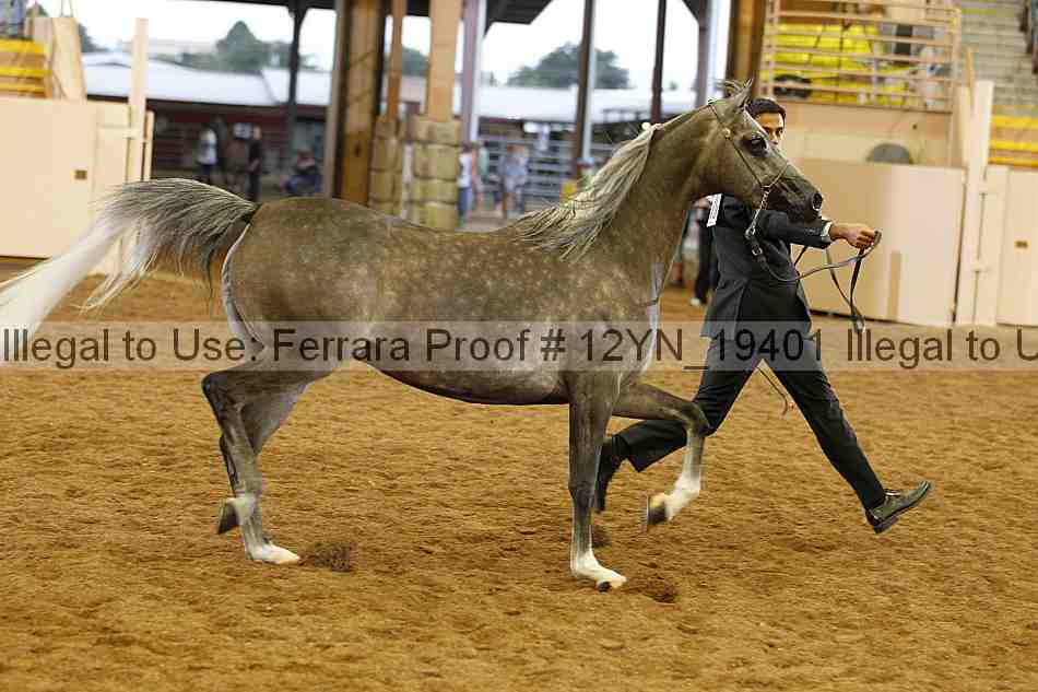 Proof 12yn_19401