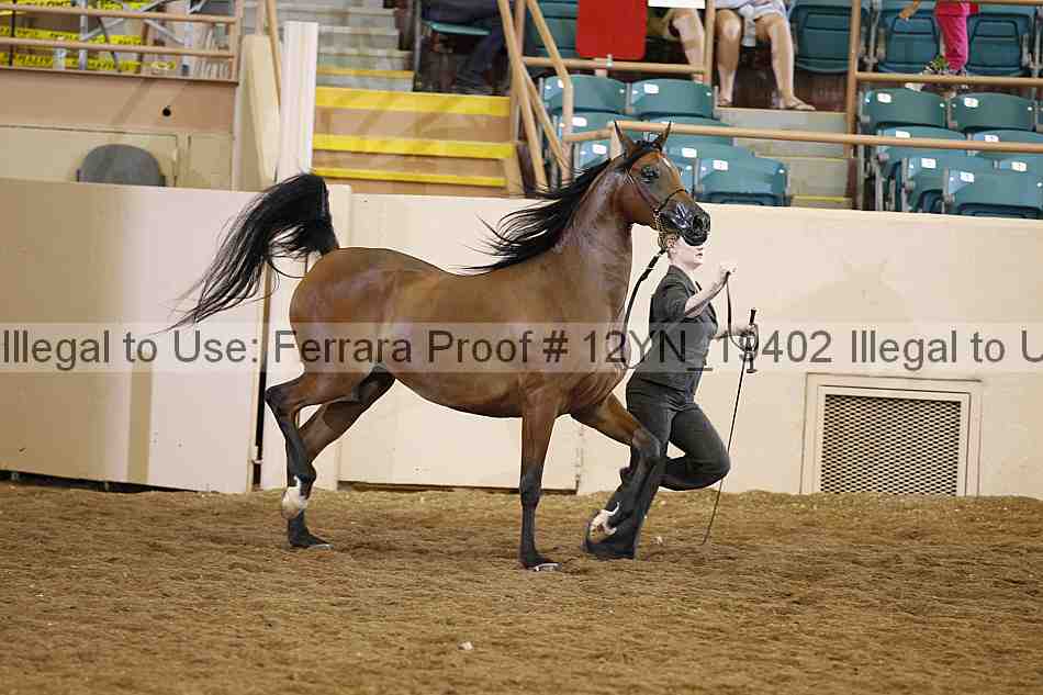 Proof 12yn_19402