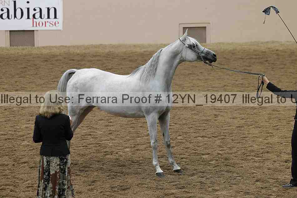 Proof 12yn_19407